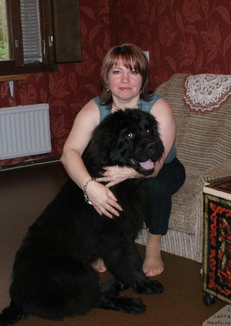 Фотография № 45117