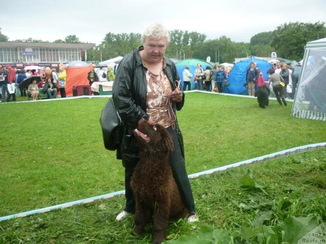 Фотография № 45121