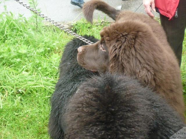 Фотография № 45122