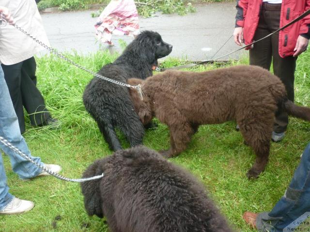 Фотография № 45124