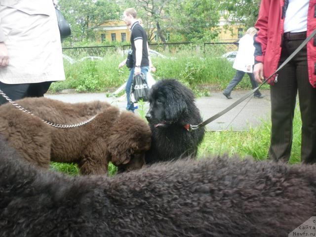 Фотография № 45125