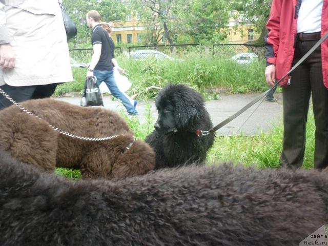 Фотография № 45128