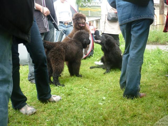 Фотография № 45133