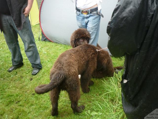 Фотография № 45136