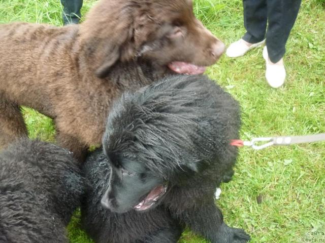 Фотография № 45139