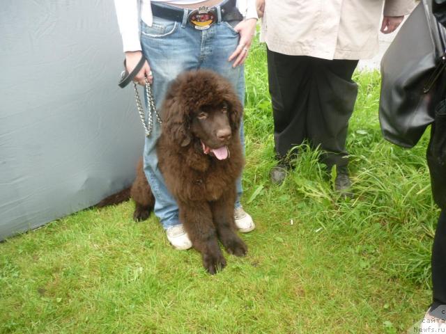 Фотография № 45140