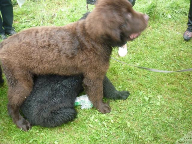 Фотография № 45141