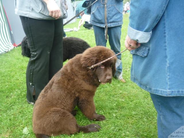 Фотография № 45143