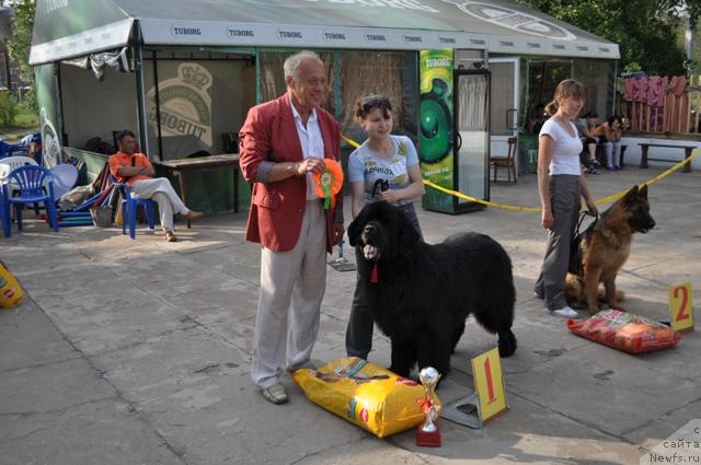 Фотография № 45222