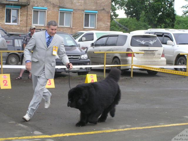 Фотография № 45224