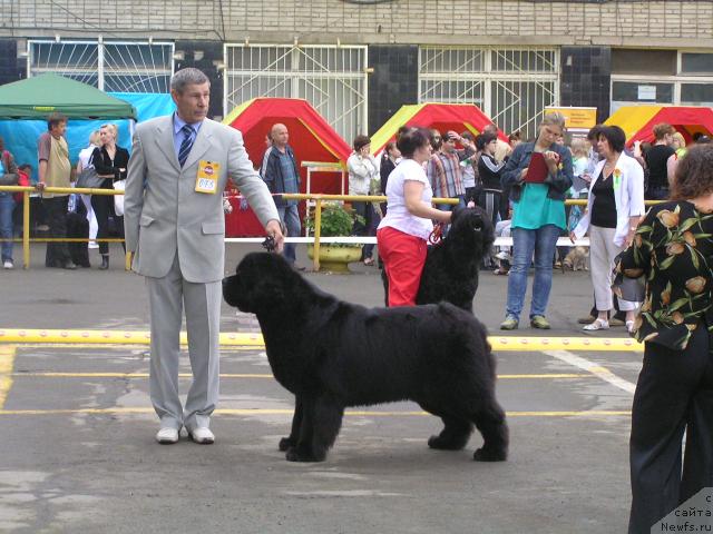 Фотография № 45225