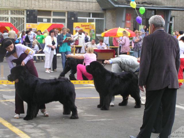 Фотография № 45226