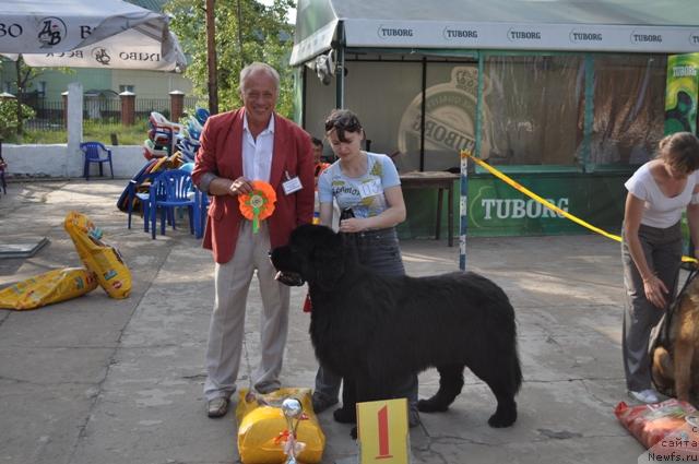 Фотография № 45227