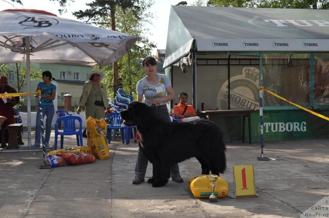 Фотография № 45229