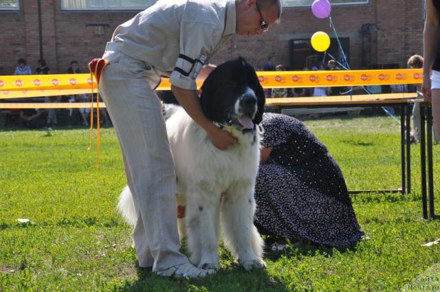 Фотография № 45245