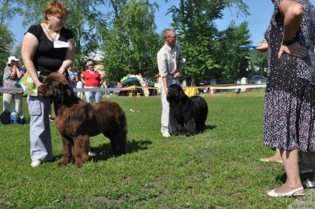 Фотография № 45252