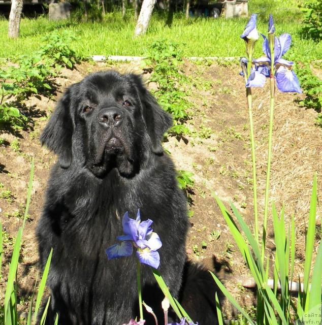 Фотография № 45255