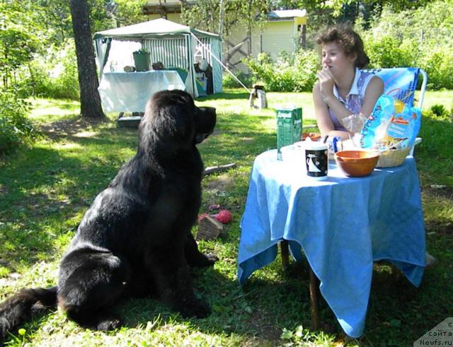 Фотография № 45261