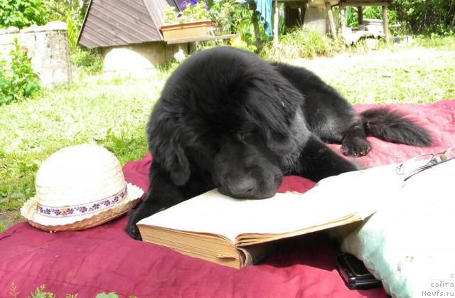 Фотография № 45270