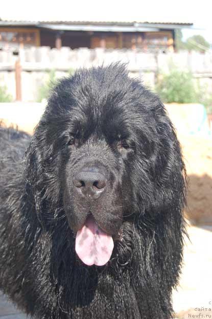 Фотография № 45282