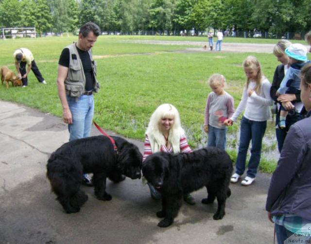 Фото: ньюфаундленд Endless Love Midnight Bear, Сергей, Anna Portnyakova (Анна Портнякова), ньюфаундленд Osennyaya Eseniya (Осенняя Есения)