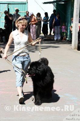 Фотография № 45397