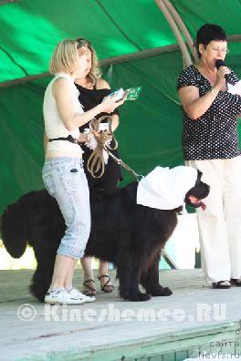 Фотография № 45399