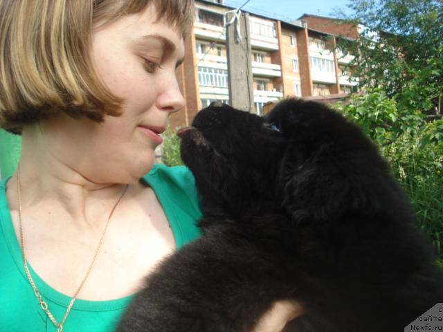 Фото: Ценитель Прекрасного из Аркаима, Svetlana Hackevich (Светлана Хацкевич)