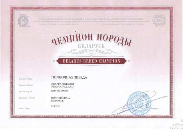 Фото: ньюфаундленд Polnochnaya Zvezda (Полночная Звезда)