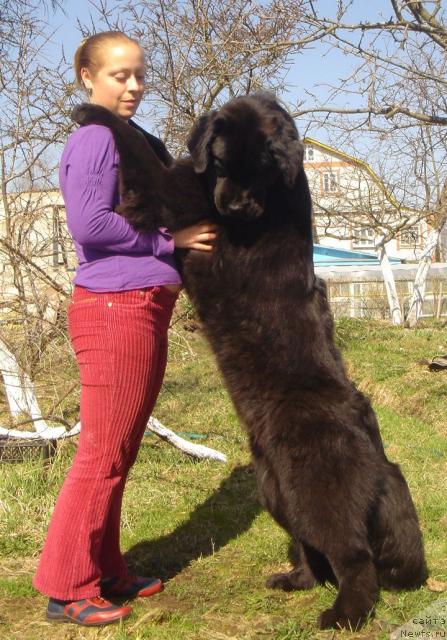 Фото: [d8829] и Даша