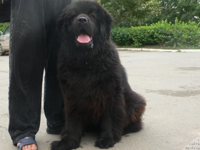 Фотография № 45482