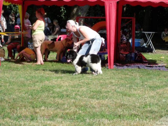 Фотография № 45502