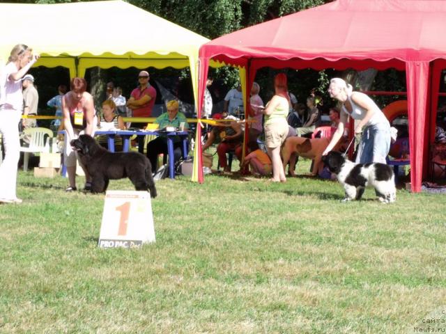 Фотография № 45503