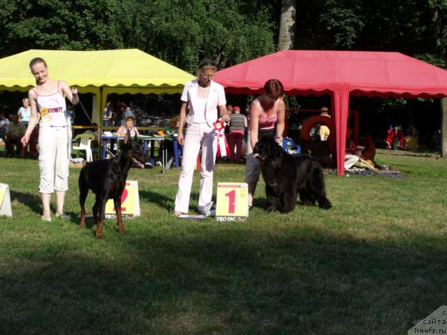 Фотография № 45508