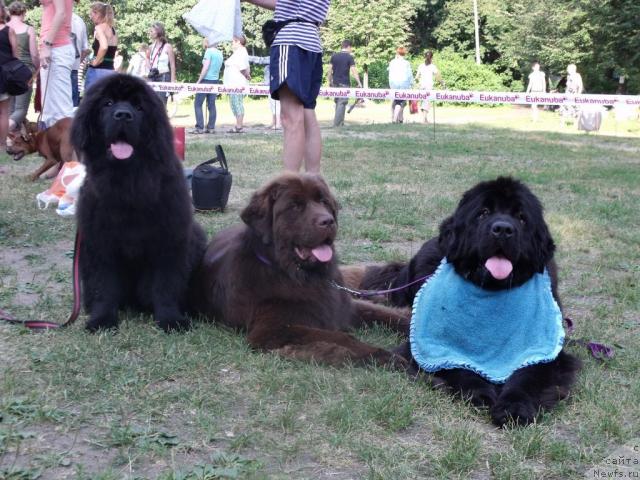 Фотография № 45509