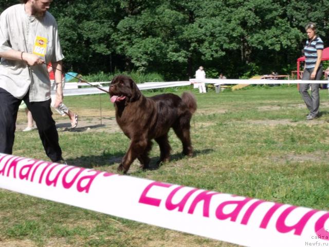 Фотография № 45510