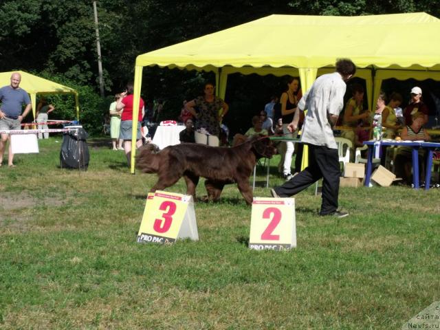 Фотография № 45511