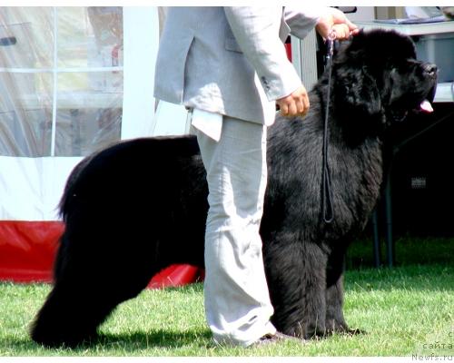 Фото: Bjornebandens Thad Jones