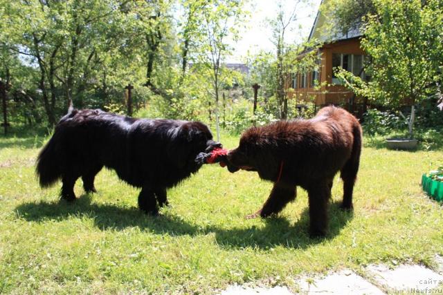 Фотография № 45515