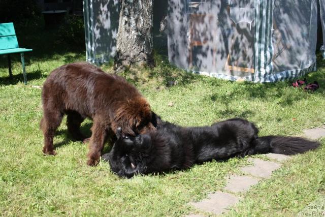 Фотография № 45516