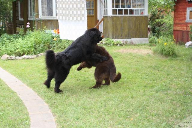 Фотография № 45517