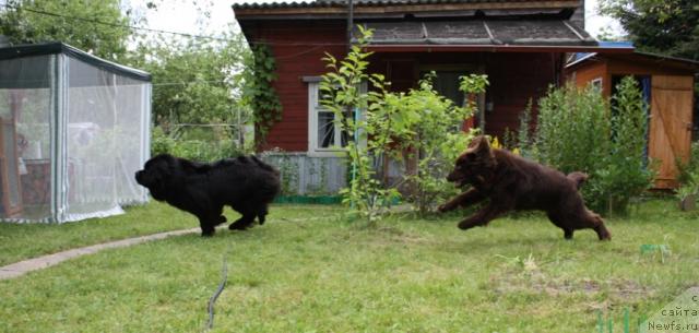 Фотография № 45518