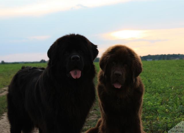 Фотография № 45520