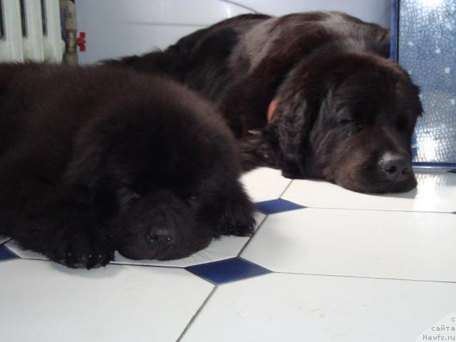 Фотография № 45558