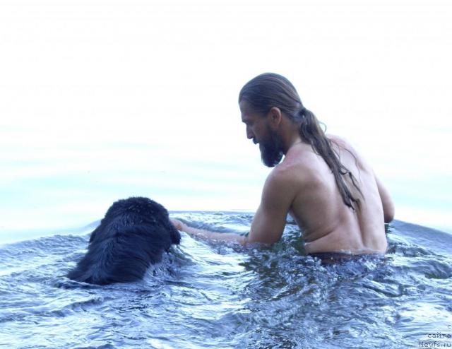 Фото: ньюфаундленд Aquatoriya Kelvin Kadril (Акватория Келвин Кадриль), Aleksandr Jakov (Александр Жаков)