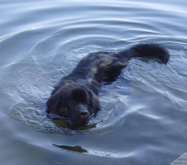 Фотография № 45563