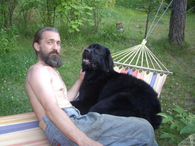 Фотография № 45564