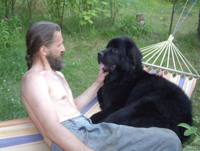 Фотография № 45565