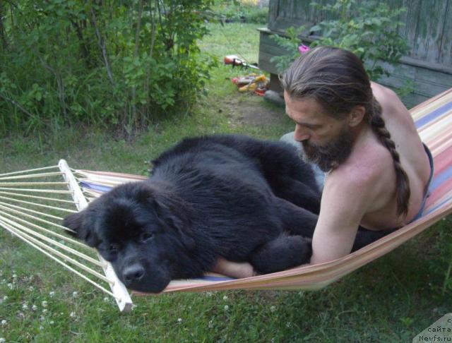 Фотография № 45566