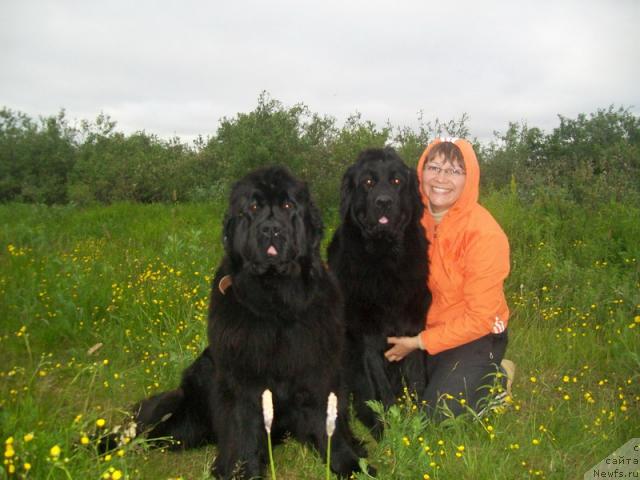 Фото: ньюфаундленд Fortuna of Giant's Island, ньюфаундленд Gloriya Grand Blek (Глория Гранд Блек), и я
